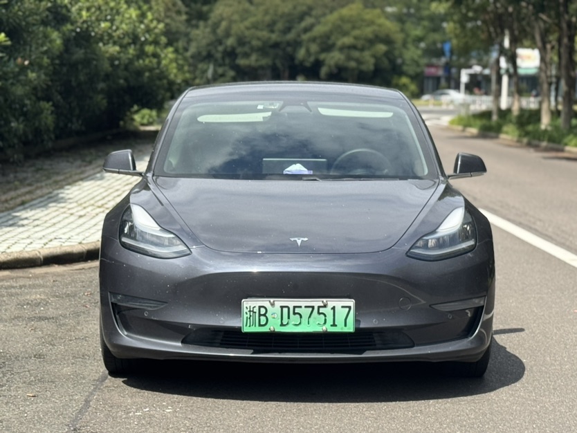 Tesla Model 3 2020 Tesla Model 3 2020 car image