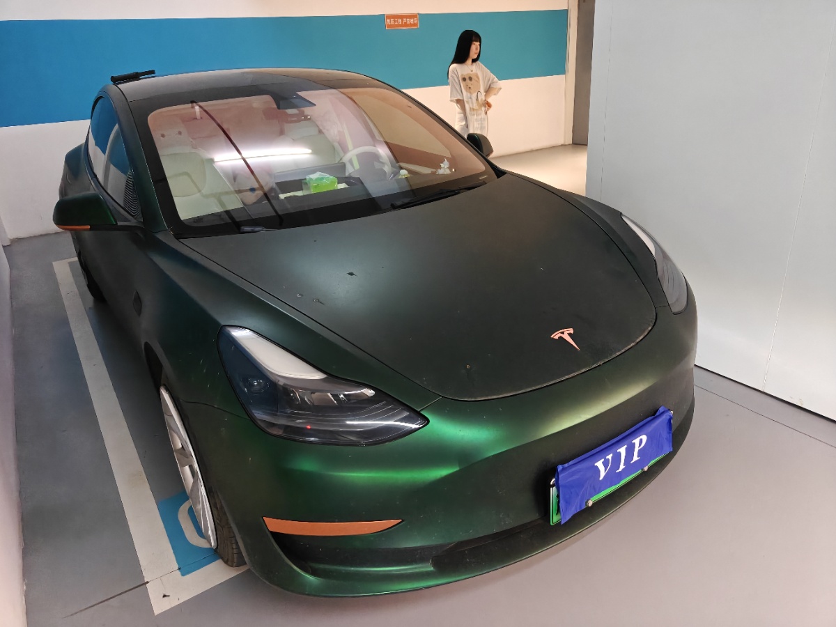 Tesla Model 3 2021 car image #3