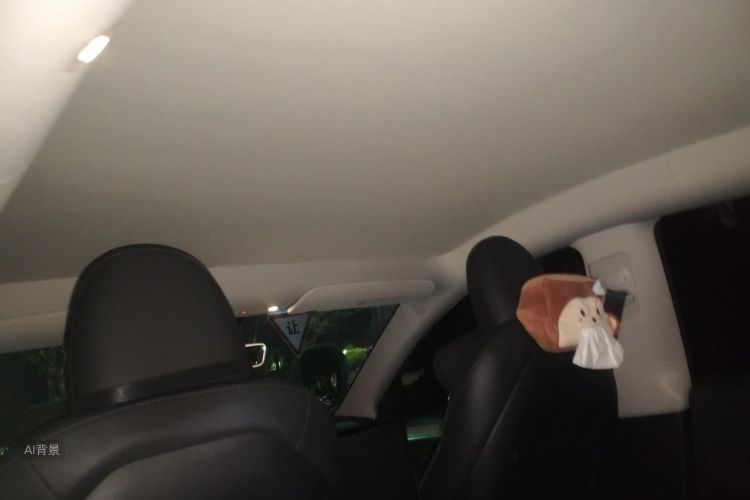 Tesla Model Y 2023 car image #20