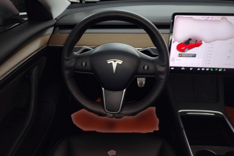 Tesla Model 3 2021 car image #11