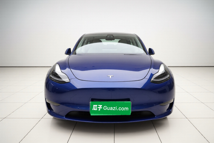 Tesla Model Y 2021 car image #3