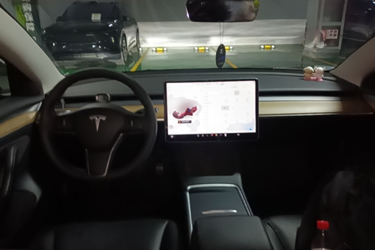 Tesla Model 3 2021 #11 Tesla Model 3 2021 car image #11
