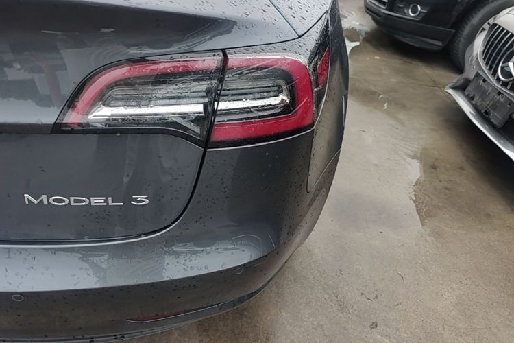 Tesla Model 3 2020 car image #8