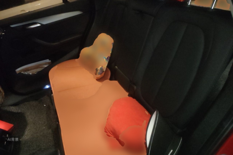 BMW X1 2019 car image #19