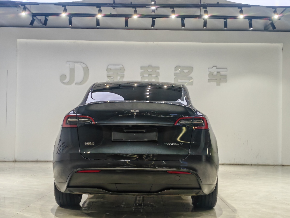 Tesla Model Y 2024 car image #8