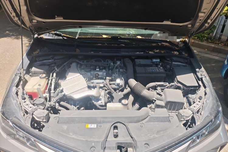 Toyota Corolla 2020 car image #22