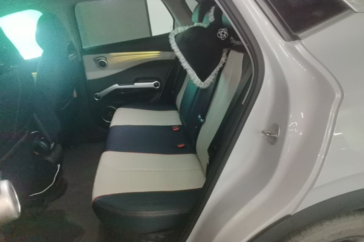 BYD Yuan Plus 2023 car image #17