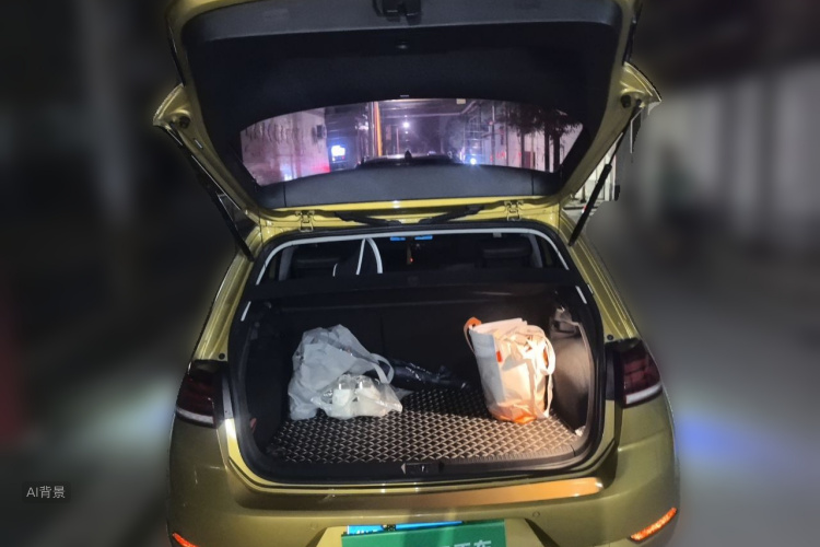 Volkswagen Golf 2018 car image #21