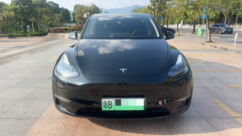 Tesla Model Y 2021 #2 Tesla Model Y 2021 car image #2