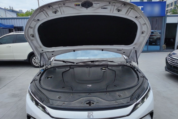 BYD Han 2022 car image #20