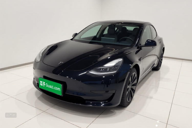 Tesla Model 3 2021 car image #2