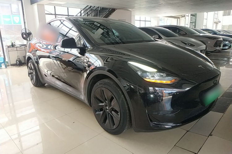 Tesla Model Y 2024 car image #4