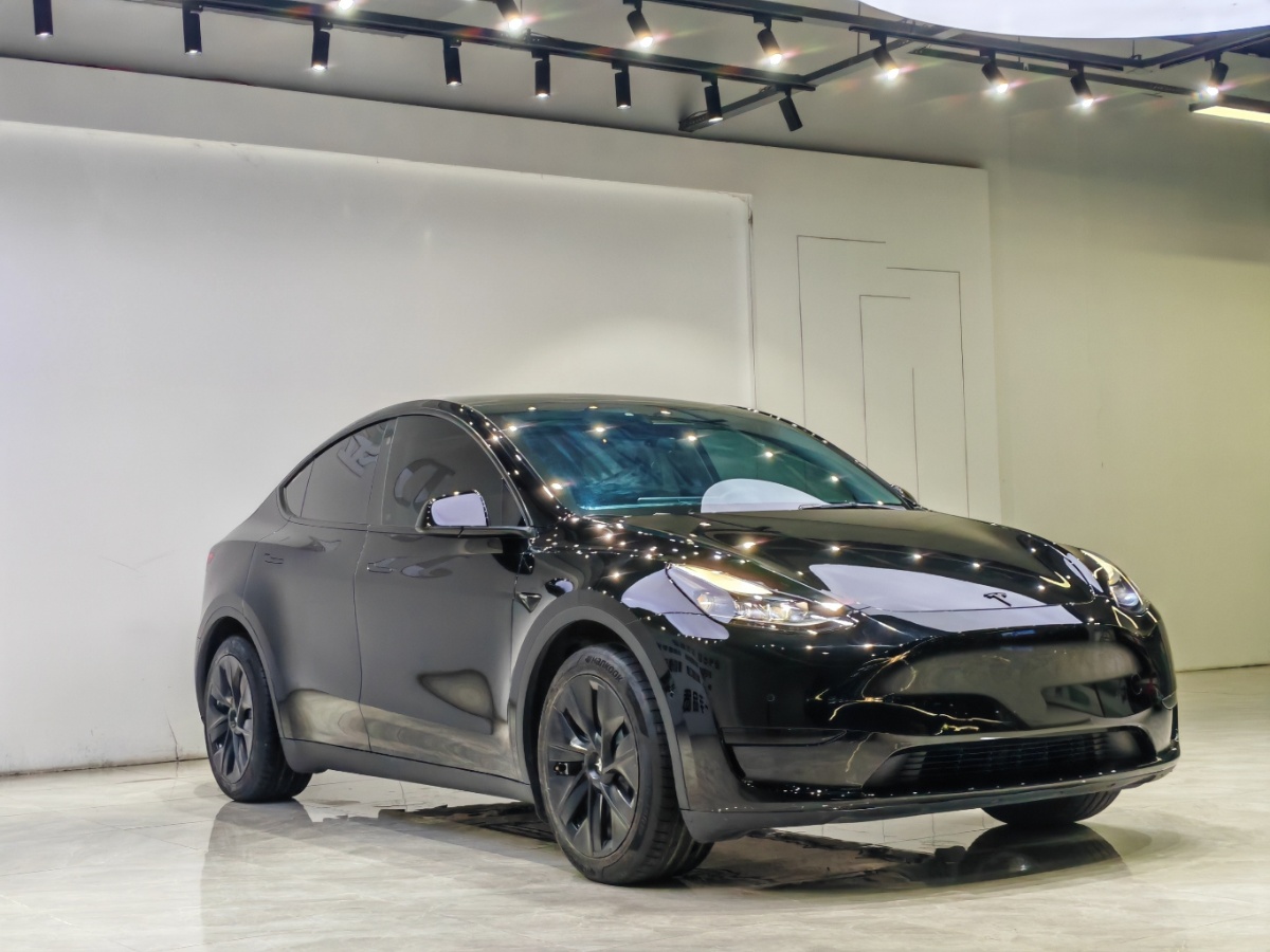 Tesla Model Y 2022 #3 Tesla Model Y 2022 car image #3