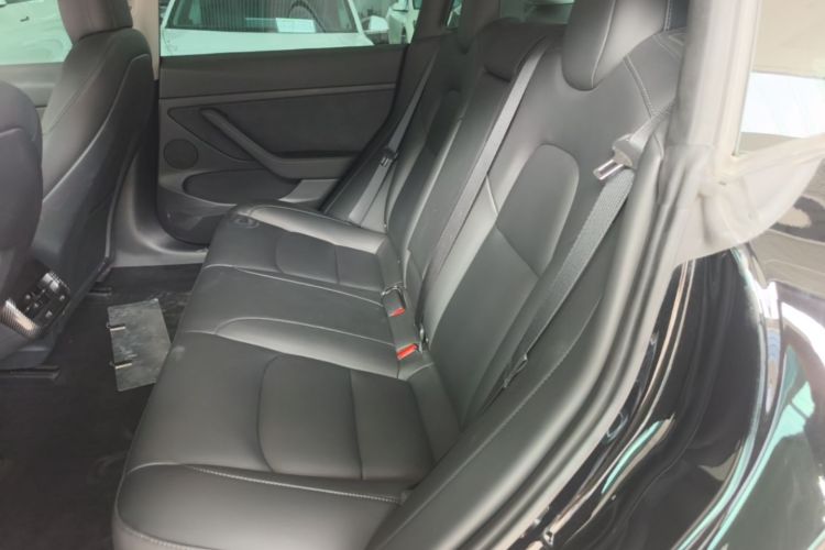 Tesla Model 3 2021 car image #17