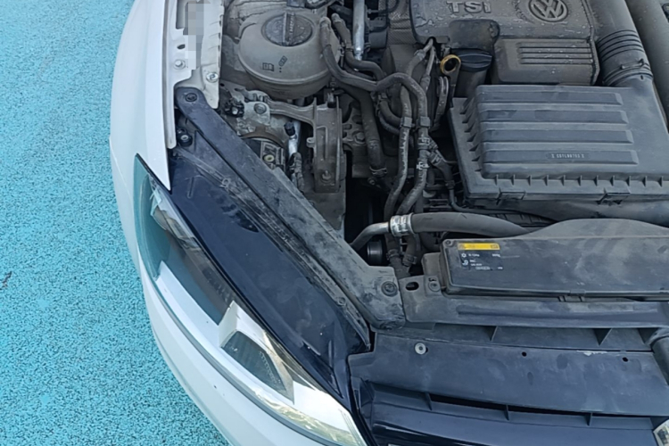 Volkswagen Golf 2017 #23 Volkswagen Golf 2017 car image #23