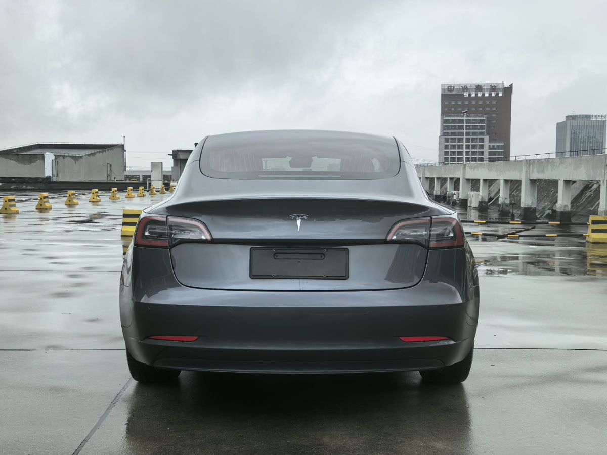 Tesla Model 3 2020 #6 Tesla Model 3 2020 car image #6