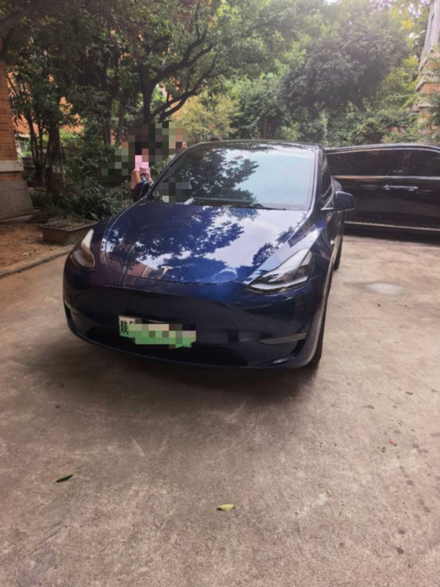 Tesla Model Y 2021 immagine di auto 