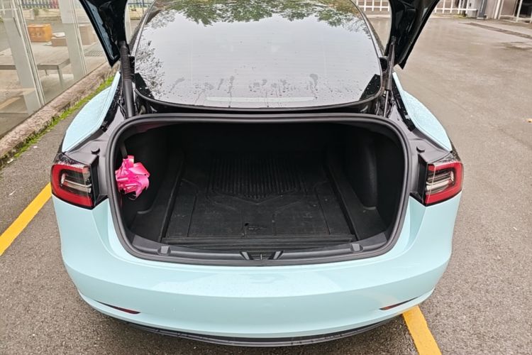 Tesla Model 3 2022 #19 Tesla Model 3 2022 صورة سيارة #19