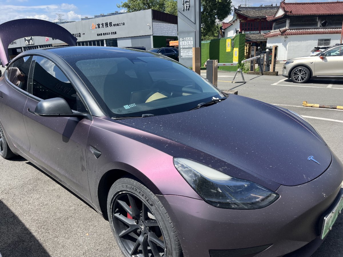 Tesla Model 3 2021 car image 