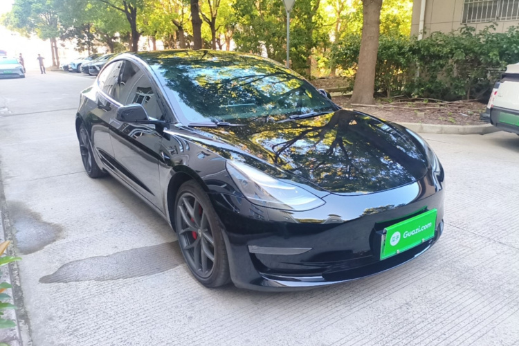 Tesla Model 3 2022 car image #6