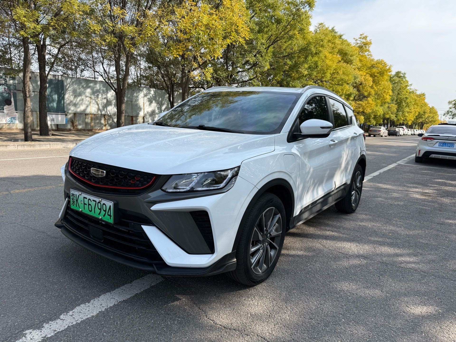 GEELY Coolray New Energy 2021 immagine di auto 