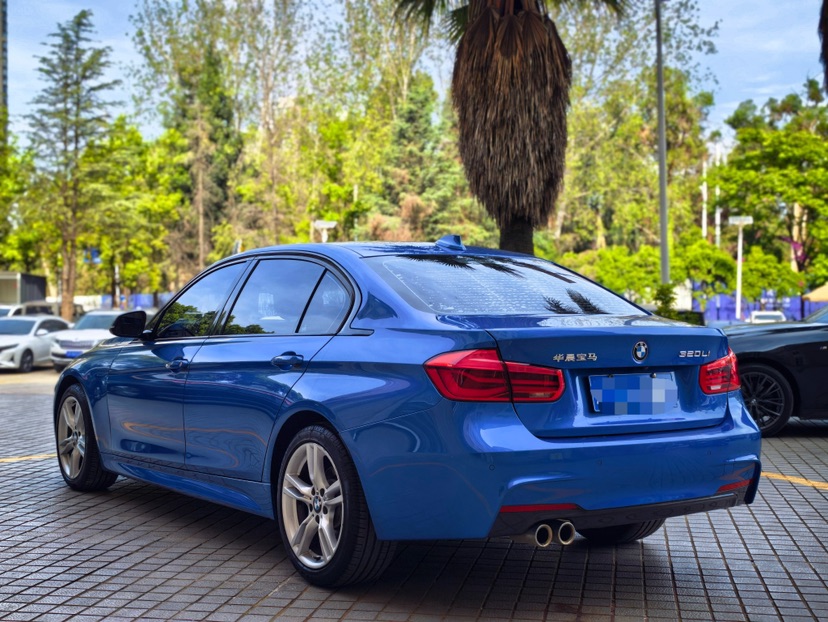 BMW 3 Series 2018 car image #7