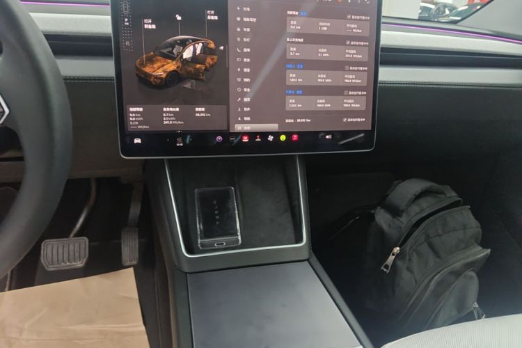 Tesla Model Y 2025 car image #13