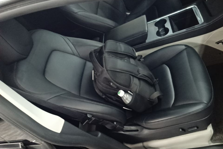 Tesla Model Y 2023 #24 Tesla Model Y 2023 car image #24