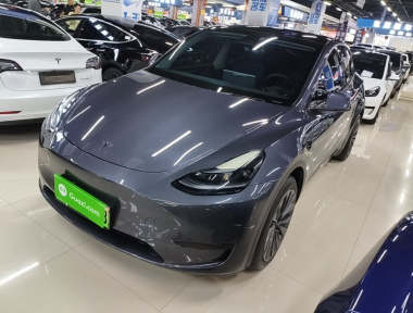 Tesla Model Y 2023 Tesla Model Y 2023 car image