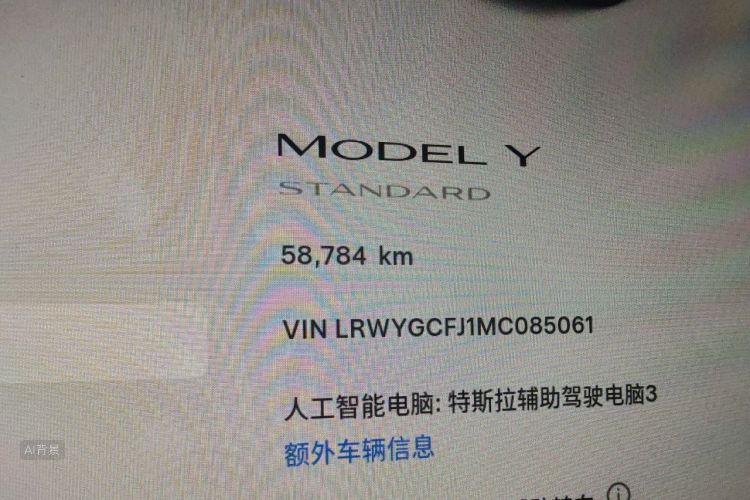 Tesla Model Y 2021 car image #14