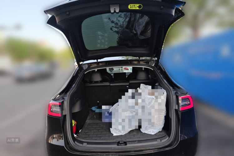 Tesla Model Y 2022 car image #21