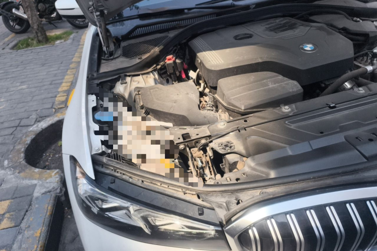 BMW 3 Series 2023 #22 BMW 3 Series 2023 car image #22