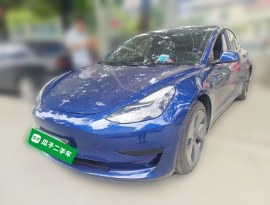 Tesla Model 3 2021 Tesla Model 3 2021 car image