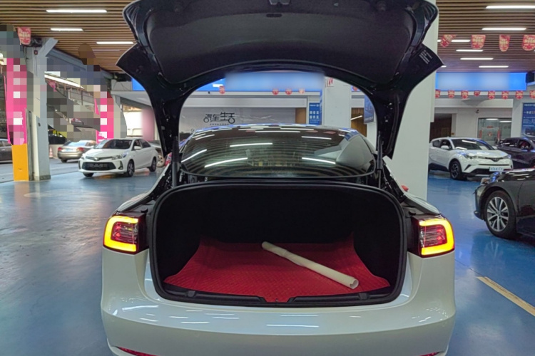 Tesla Model 3 2021 #19 Tesla Model 3 2021 imagen de coche #19