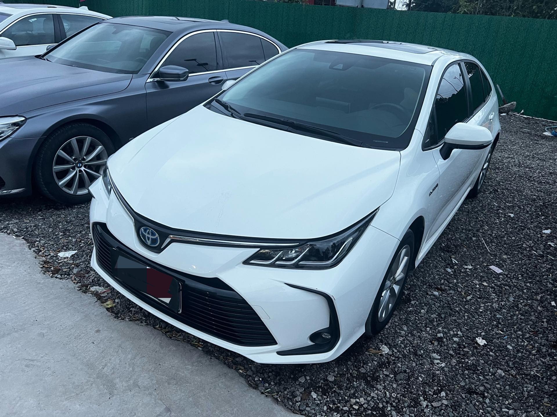 Toyota Corolla 2022 Toyota Corolla 2022 car image