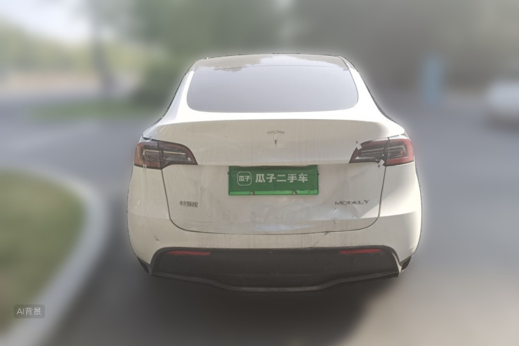 Tesla Model Y 2024 car image #6