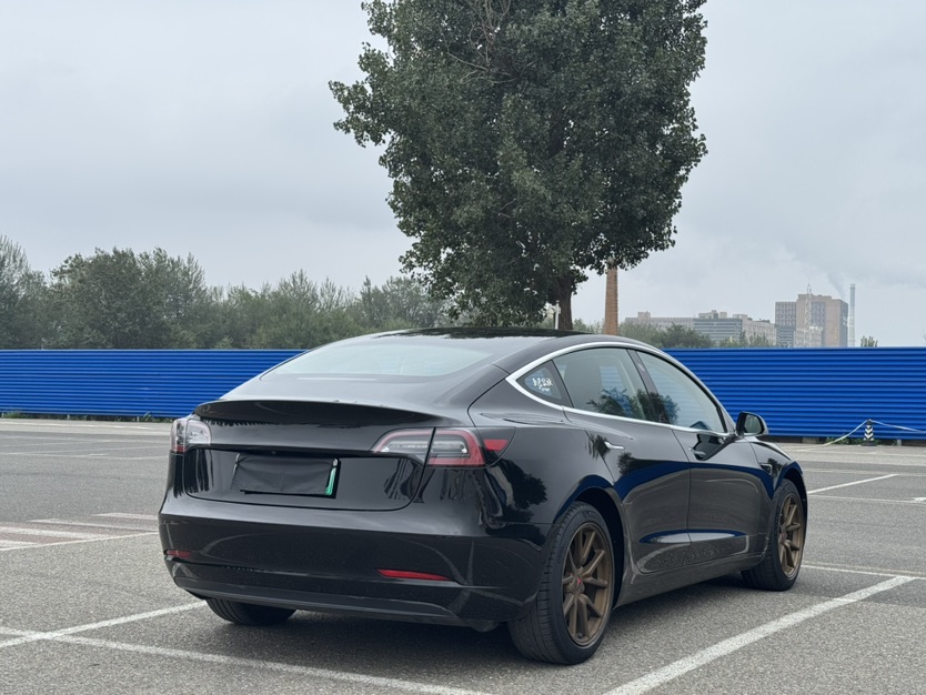 Tesla Model 3 2020 #8 Tesla Model 3 2020 car image #8