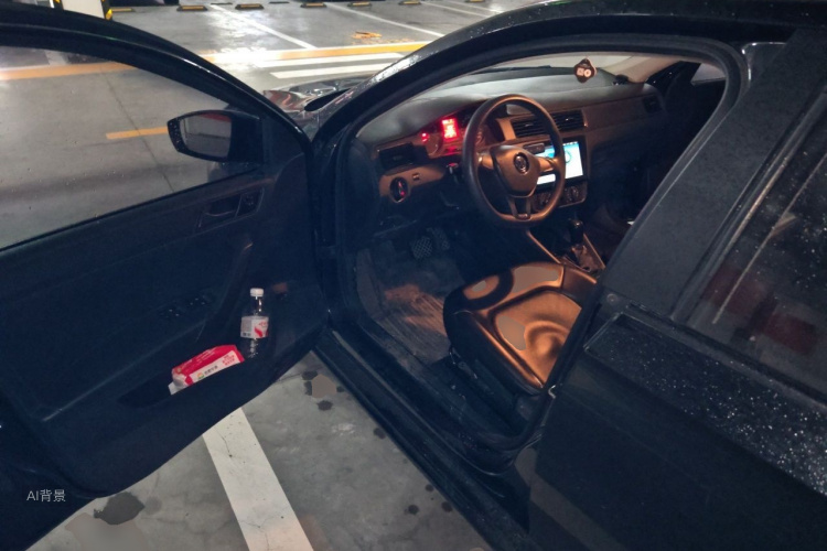 Volkswagen Santana 2019 car image #18