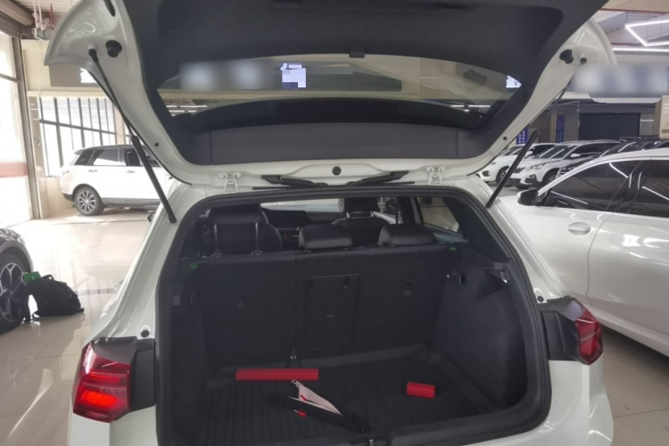 Volkswagen Golf 2022 car image #21