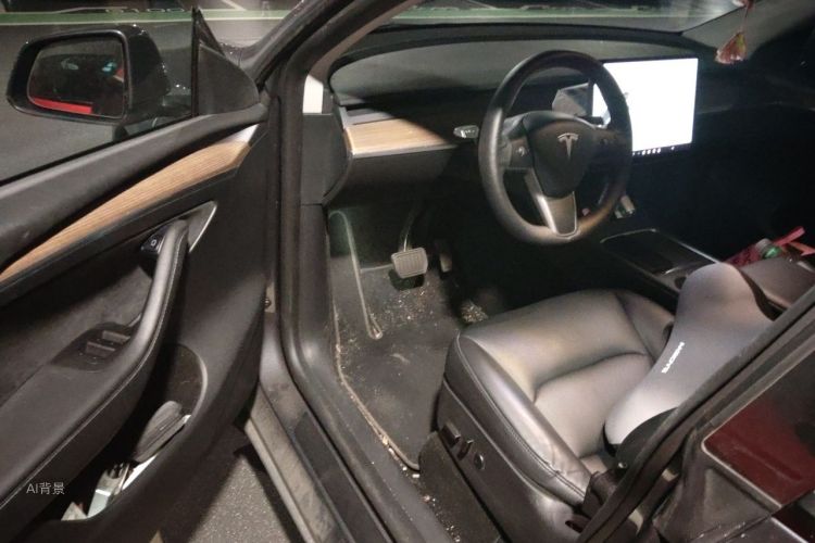 Tesla Model Y 2021 immagine di auto #18