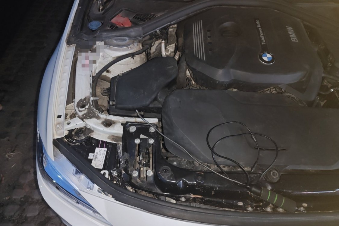 BMW 3 Series 2017 #11 BMW 3 Series 2017 car image #11