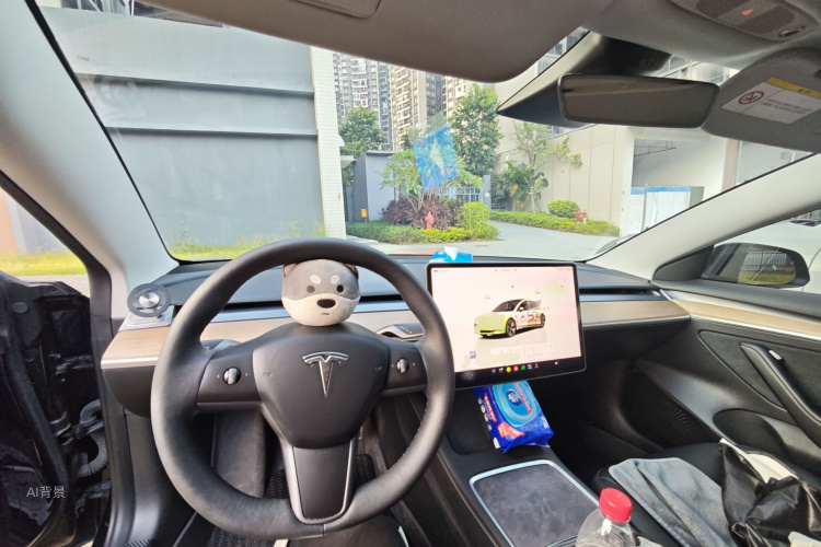 Tesla Model 3 2023 immagine di auto #11
