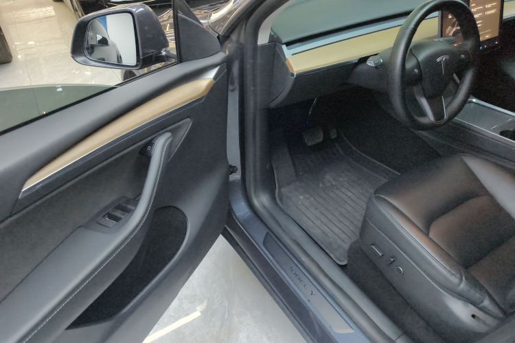 Tesla Model Y 2021 car image #12