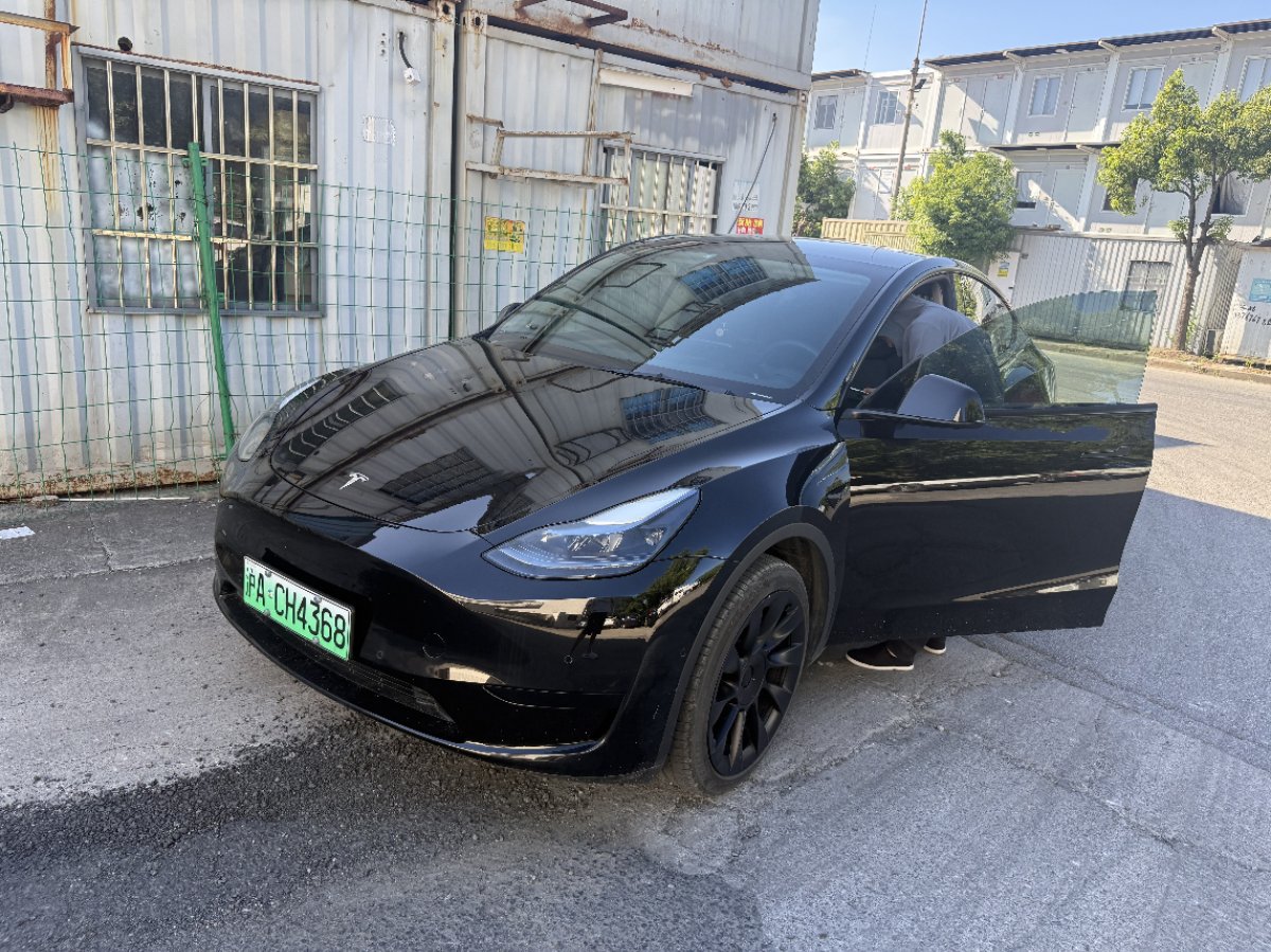 Tesla Model Y 2023 Tesla Model Y 2023 car image
