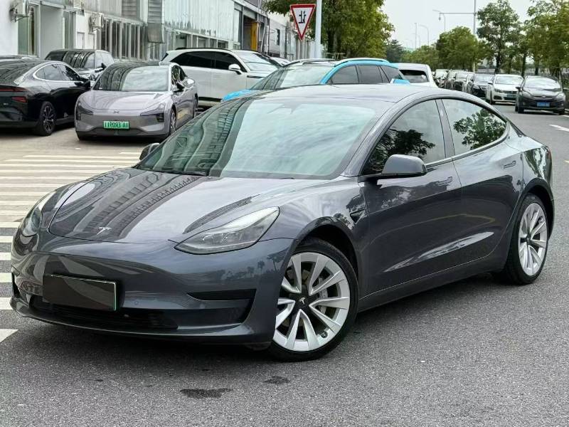 Tesla Model 3 2021 #3 Tesla Model 3 2021 car image #3