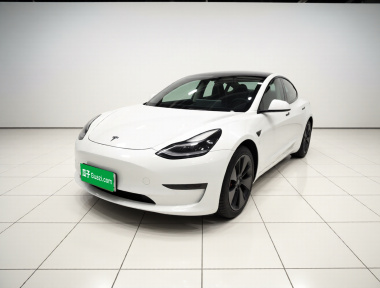 Tesla Model 3 2021 Tesla Model 3 2021 car image