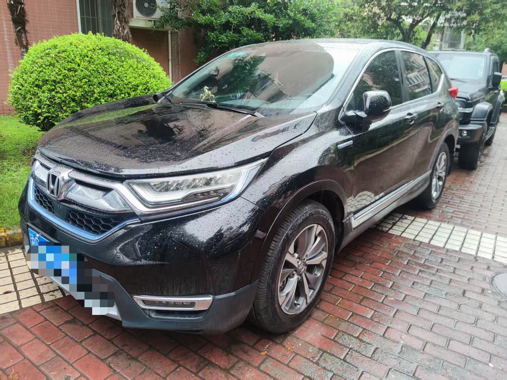 Honda CR-V 2019 car image 