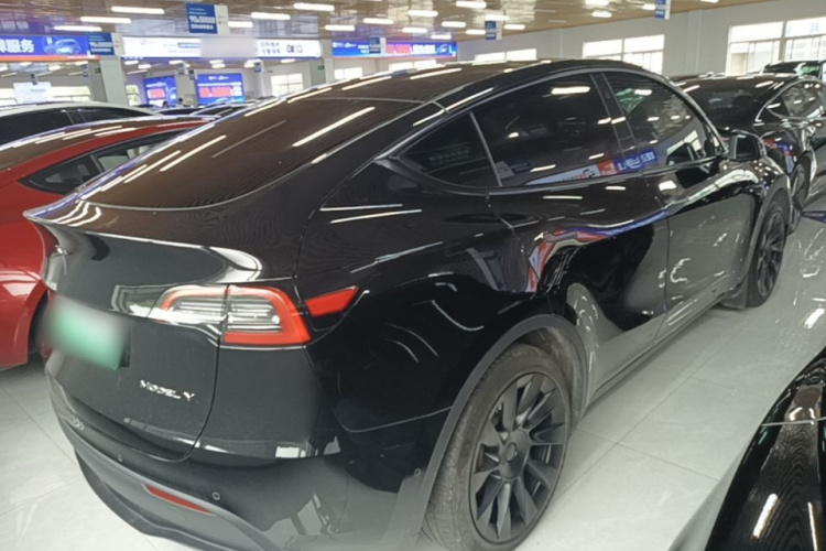 Tesla Model Y 2023 #5 Tesla Model Y 2023 car image #5