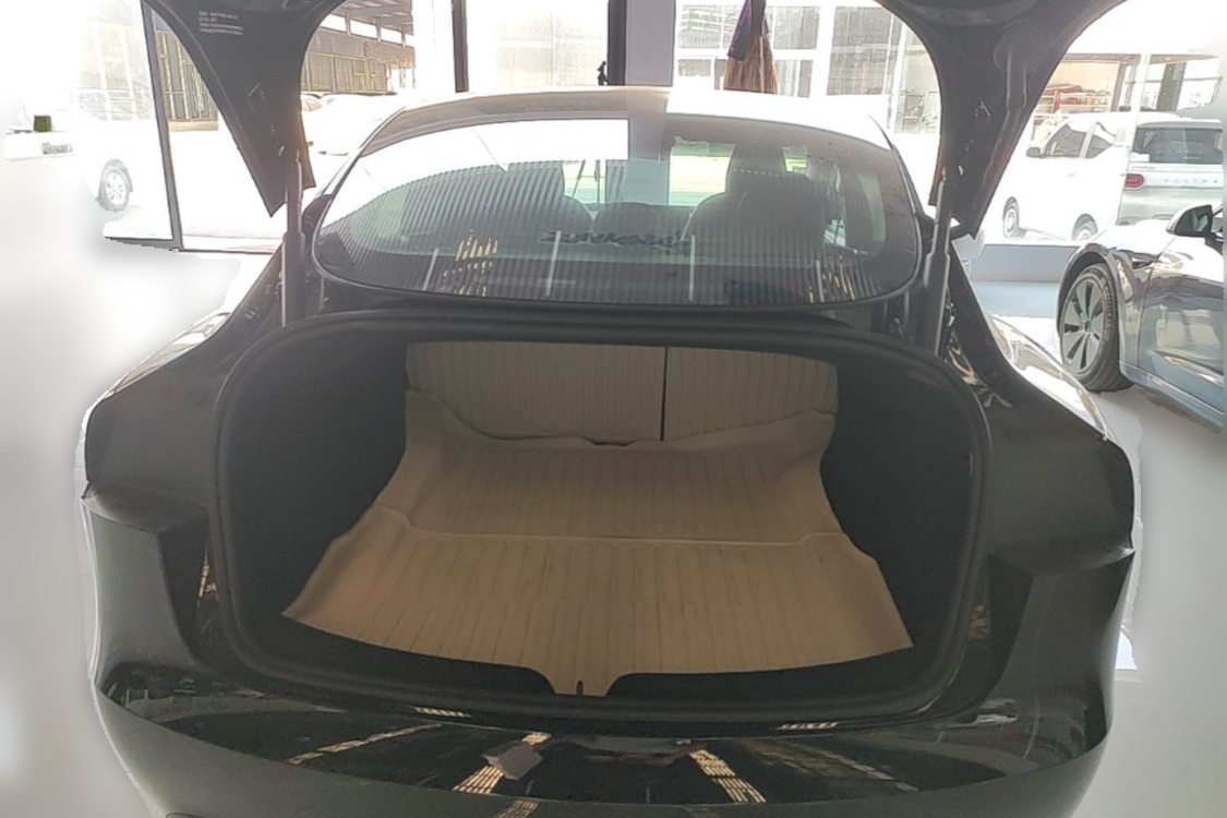Tesla Model 3 2023 car image #10