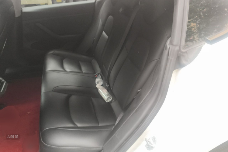 Tesla Model 3 2021 immagine di auto #19